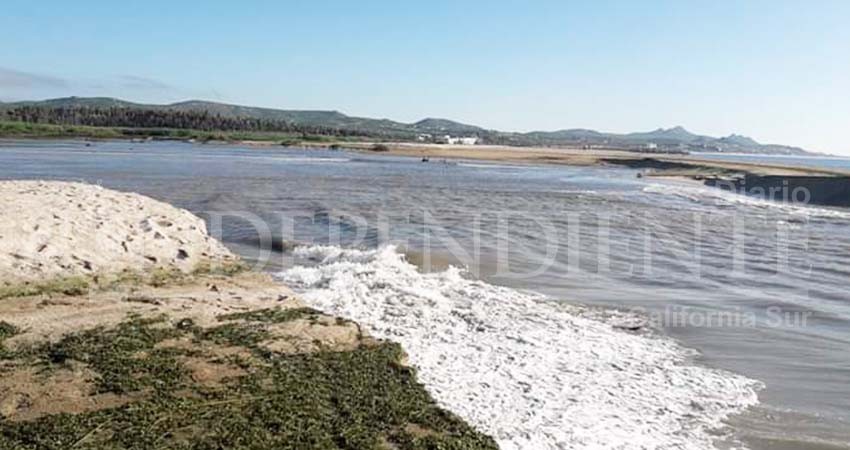 La bocana del estero se abrió sola; es un proceso natural, aclara Dirección de Ecología La bocana del estero se abrió sola; es un proceso natural, aclara Dirección de Ecología