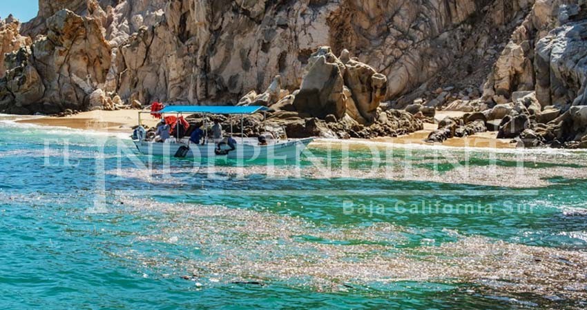 Urgen acciones para detener contaminación en el mar