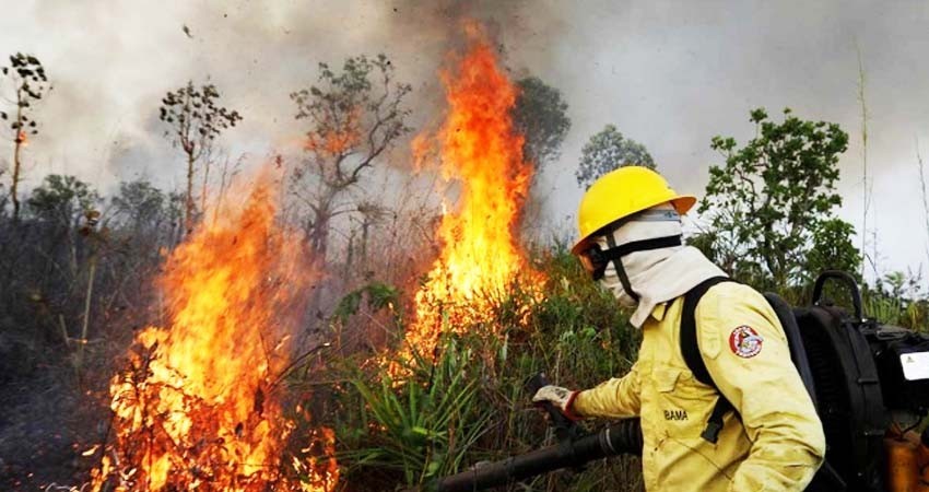 Alerta la NASA de sequía en la selva amazónica Alerta la NASA de sequía en la selva amazónica