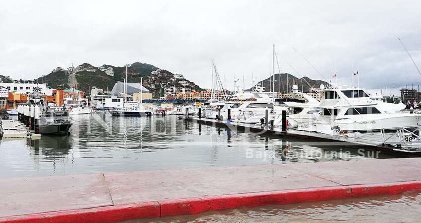 Retiran tres toneladas de basura y escombros de la marina turística de CSL Retiran tres toneladas de basura y escombros de la marina turística de CSL