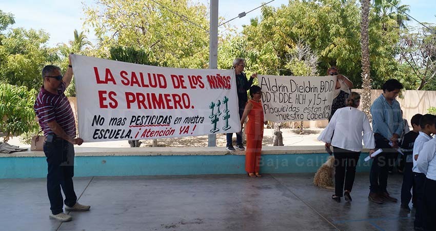 Atenderán caso de "plaguicidas" en la sangre de niños en Todos Santos Atenderán caso de "plaguicidas" en la sangre de niños en Todos Santos