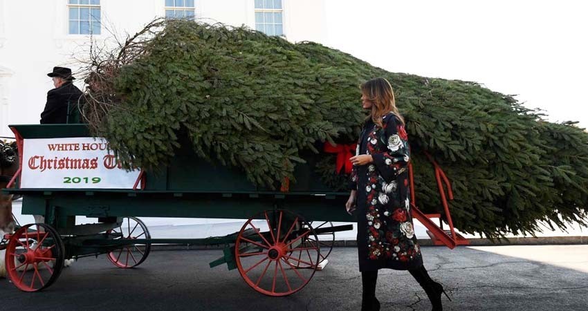 Llega la Navidad a la Casa Blanca; Melania recibe el árbol Llega la Navidad a la Casa Blanca; Melania recibe el árbol