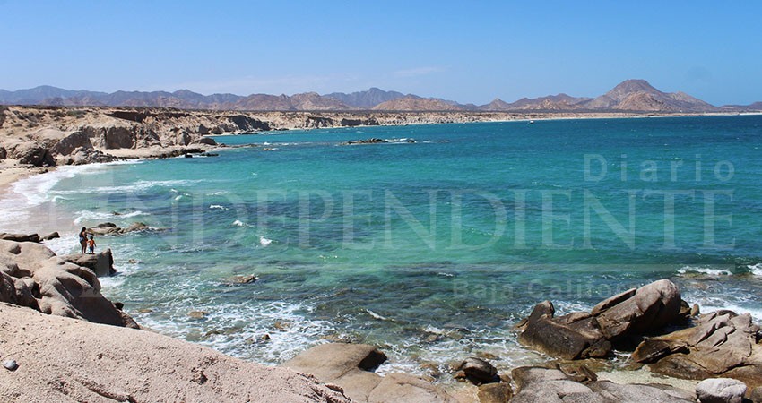 Buscan certificación Blue Flag para cinco playas más en Los Cabos Buscan certificación Blue Flag para cinco playas más en Los Cabos