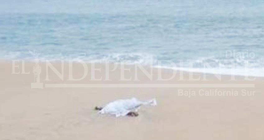 Arroja el mar el cuerpo de un hombre en SJC Arroja el mar el cuerpo de un hombre en SJC
