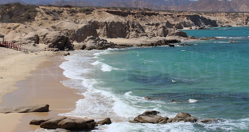 Se requieren acciones conjuntas para combatir pesca furtiva en Cabo del Este: Escobedo Se requieren acciones conjuntas para combatir pesca furtiva en Cabo del Este: Escobedo