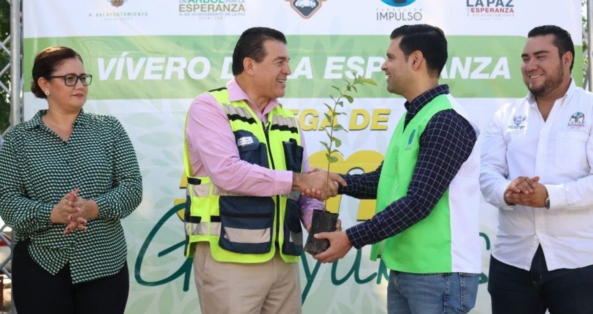 Recibe el Ayuntamiento de La Paz en donación 5 mil árboles de guayabo Recibe el Ayuntamiento de La Paz en donación 5 mil árboles de guayabo