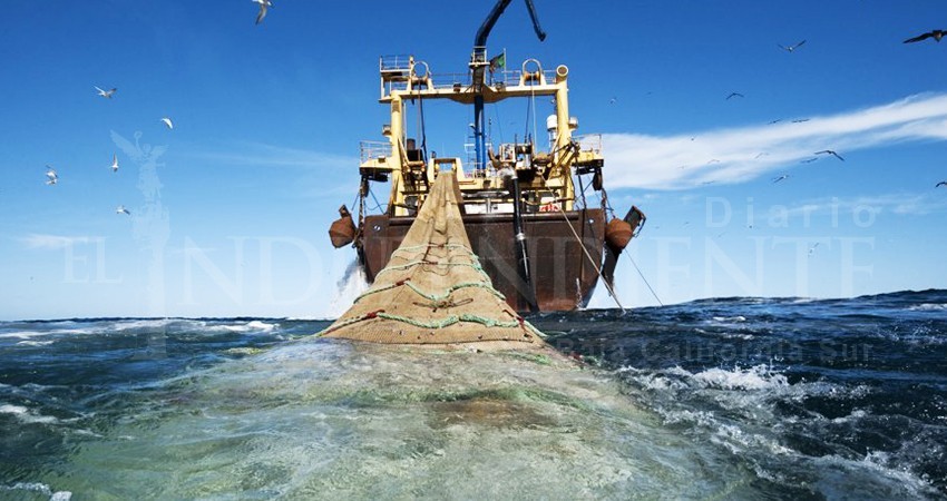 Gobierno del estado ha evadido reglamentación de pesca por 4 años Gobierno del estado ha evadido reglamentación de pesca por 4 años