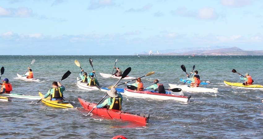 Se llevó a cabo en la Bahía de La Paz la exitosa “2da. Regata Mar de Cortés 2019” Se llevó a cabo en la Bahía de La Paz la exitosa “2da. Regata Mar de Cortés 2019”