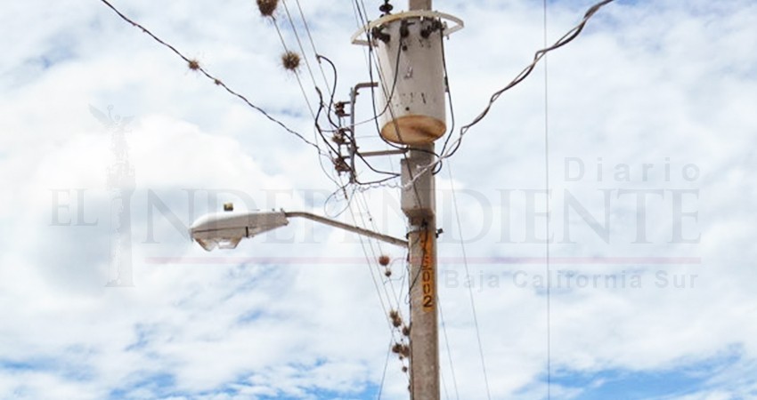 Proponen impuestos a postes de luz, telefonía y cable en La Paz Proponen impuestos a postes de luz, telefonía y cable en La Paz