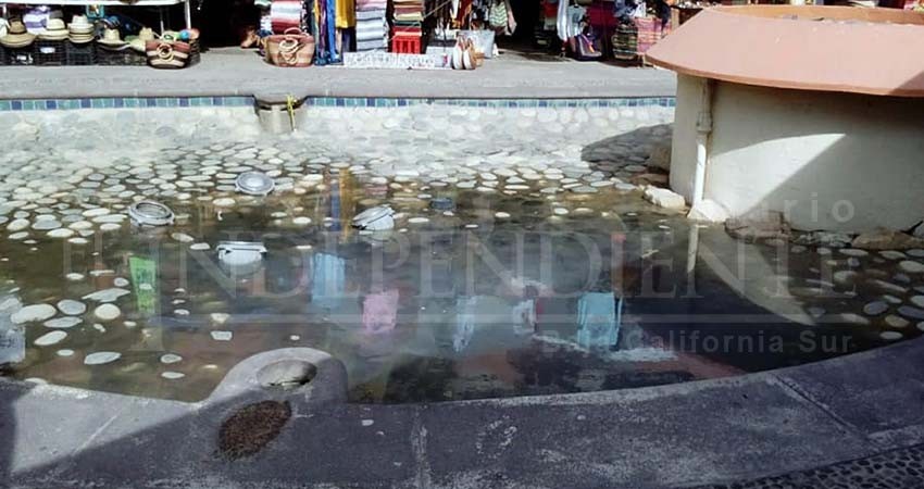 Comerciantes lamentan malas condiciones de la Marina de CSL Comerciantes lamentan malas condiciones de la Marina de CSL