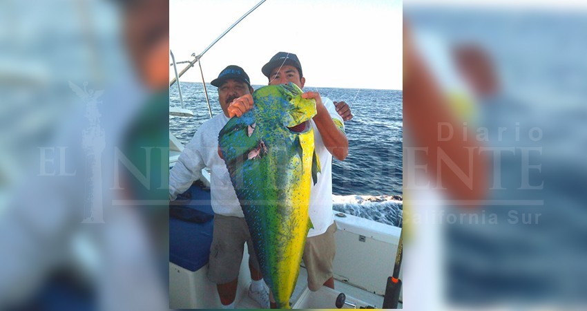 Concluye el próximo domingo temporada alta de torneos de pesca deportiva Concluye el próximo domingo temporada alta de torneos de pesca deportiva