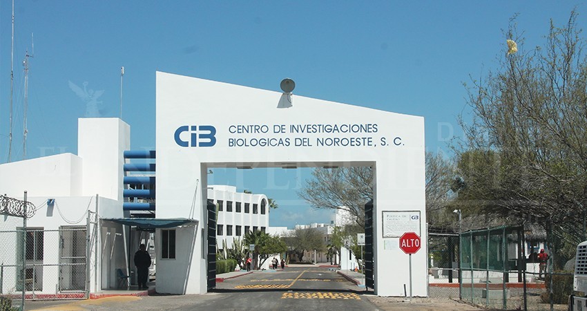 Cibnor desacredita estudio donde se detectó DDT en niños de Todos Santos Cibnor desacredita estudio donde se detectó DDT en niños de Todos Santos