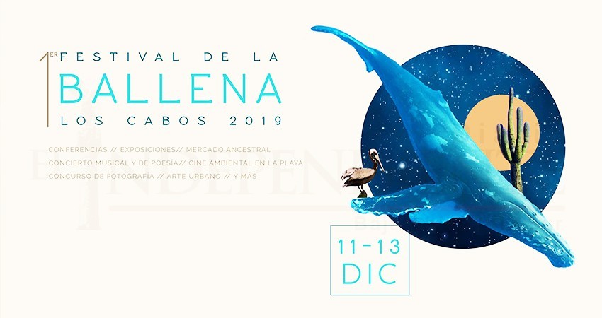 Conferencias, cine y limpieza subacuática durante el Festival de la Ballena 2019 Conferencias, cine y limpieza subacuática durante el Festival de la Ballena 2019