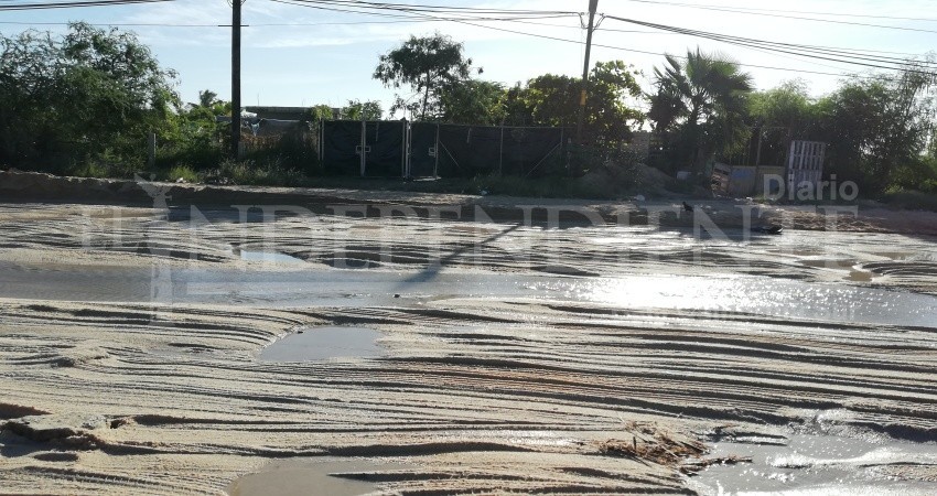 Reiteran vecinos de calle Tamaral urgencia de rehabilitar drenaje y terracerías Reiteran vecinos de calle Tamaral urgencia de rehabilitar drenaje y terracerías