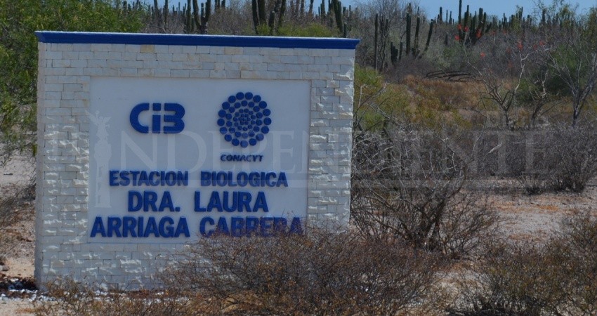 Cibnor aclara: no desacredita estudio que detectó DDT en niños, pero tampoco lo avala Cibnor aclara: no desacredita estudio que detectó DDT en niños, pero tampoco lo avala