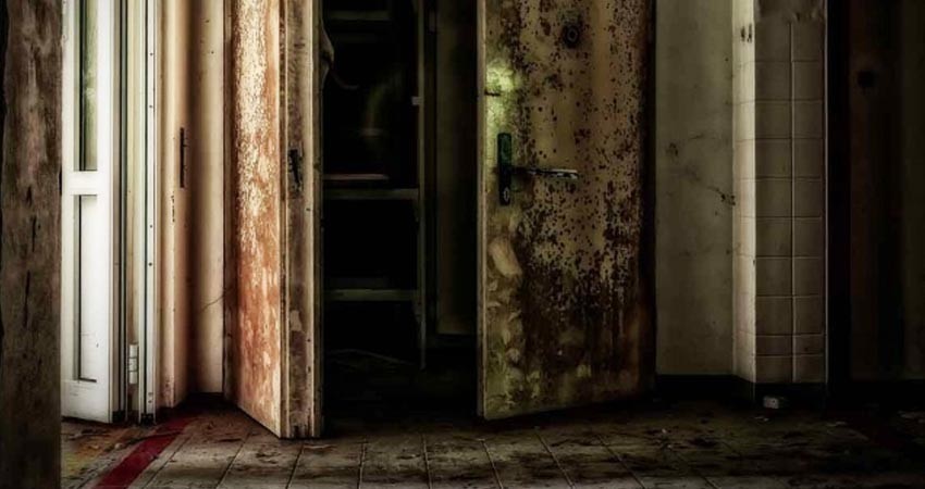 Mujer guardó el cadáver de su esposo en congelador por 10 años Mujer guardó el cadáver de su esposo en congelador por 10 años