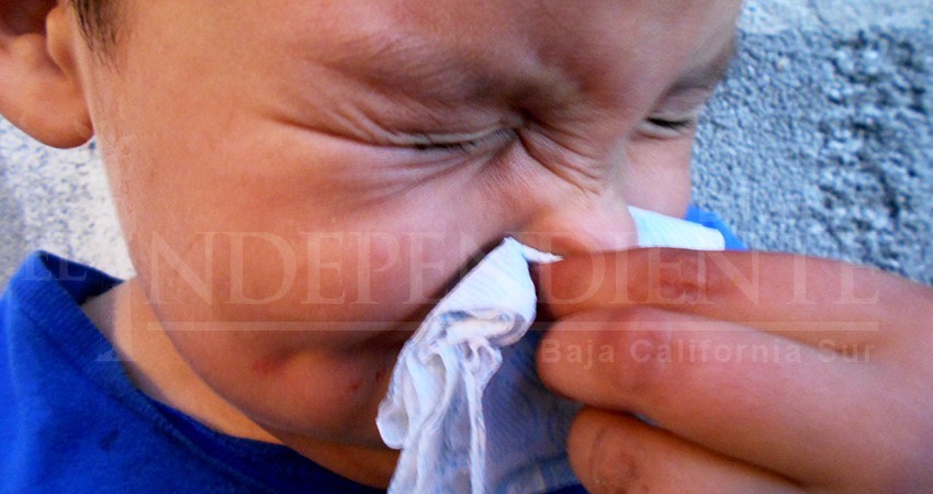 Reporta SSA 650 casos confirmados de influenza en el país, cuatro de ellos en BCS Reporta SSA 650 casos confirmados de influenza en el país, cuatro de ellos en BCS