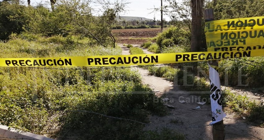 Acusan al ayuntamiento de coludirse y permitir "huerto tóxico” en Todos Santos Acusan al ayuntamiento de coludirse y permitir "huerto tóxico” en Todos Santos