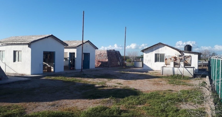Oomsapas La Paz construirá una planta potabilizadora en Puerto Chale Oomsapas La Paz construirá una planta potabilizadora en Puerto Chale