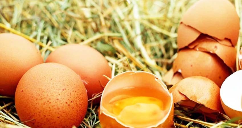Alerta en EU: Retiran productos avícolas tras brote de listeria Alerta en EU: Retiran productos avícolas tras brote de listeria