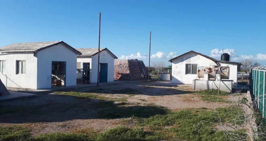 Oomsapas La Paz construirá una planta potabilizadora en Puerto Chale Oomsapas La Paz construirá una planta potabilizadora en Puerto Chale