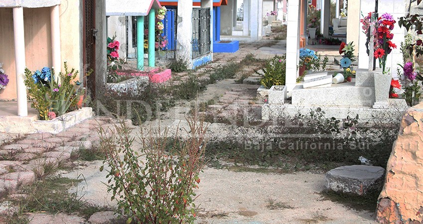 Entre la maleza y suciedad los panteones de La Paz