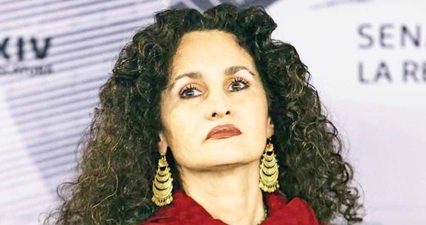 Proponen cambiar la ley de bibliotecas Proponen cambiar la ley de bibliotecas