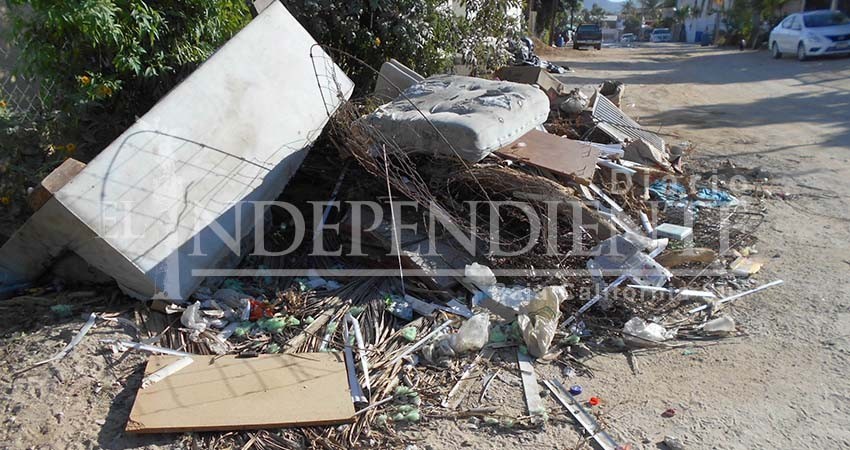 Piden colonos de SJV se recojan ramas y cacharros que están en las calles 