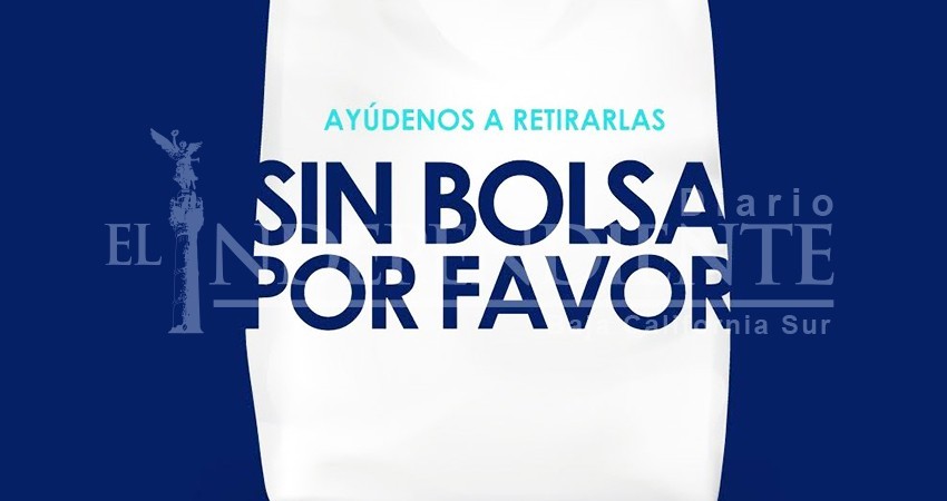 Como una mediocridad, califica diputado local a la “Ley Desplastifícate”