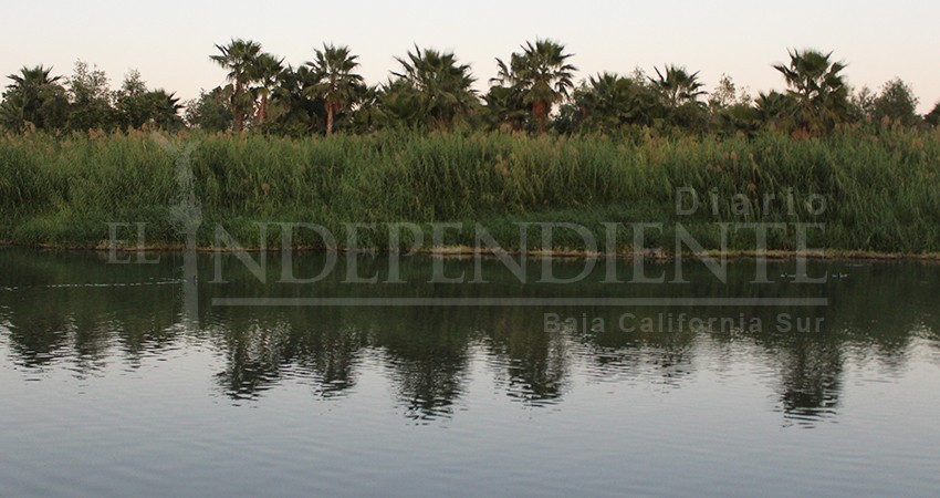 2019 fue un año sin afectaciones por incendios en el estero: Bomberos 