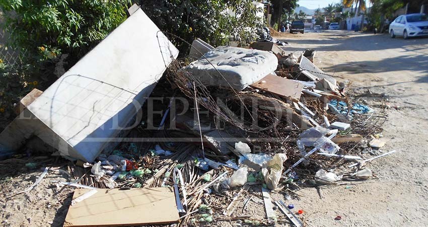 Recolección de ramas y cacharros está calendarizado por sectores: Servicios Públicos 