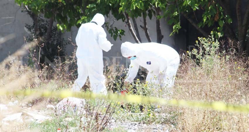 Durante el 2019 fueron localizadas 4 fosas clandestinas en BCS Durante el 2019 fueron localizadas 4 fosas clandestinas en BCS
