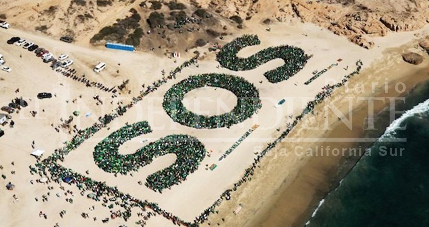 Batalla contra los proyectos que arruinen el medio ambiente no ha terminado: S.O.S Batalla contra los proyectos que arruinen el medio ambiente no ha terminado: S.O.S