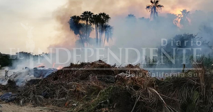 Incendios en arroyos o tiraderos han sido por quema de cable para extraer cobre: Bomberos
