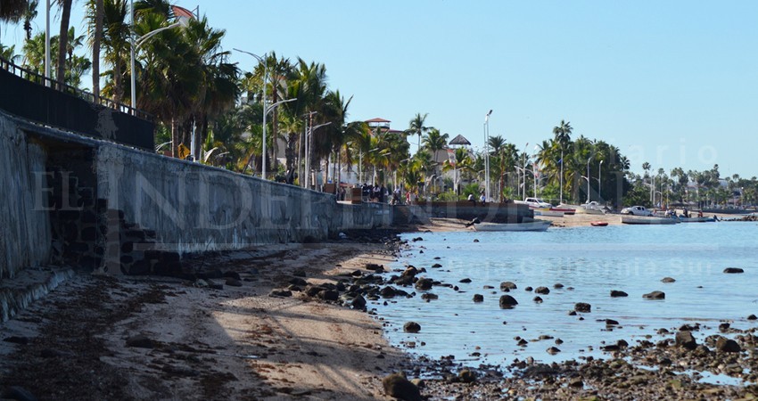 Como API no lo hizo, Ayuntamiento de La Paz creará reglamento del malecón Como API no lo hizo, Ayuntamiento de La Paz creará reglamento del malecón
