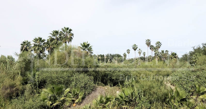 Se vislumbra el comienzo del rescate del Estero de SJC