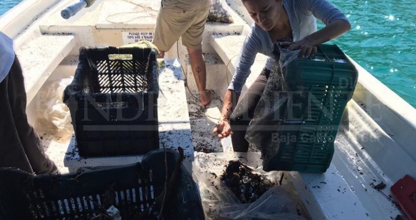 La madre del movimiento “cero desperdicios” realiza limpieza del fondo marino en CSL