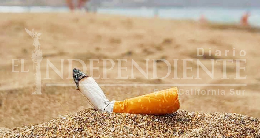 Científicos sudcalifornianos inician campaña contra las colillas de cigarro