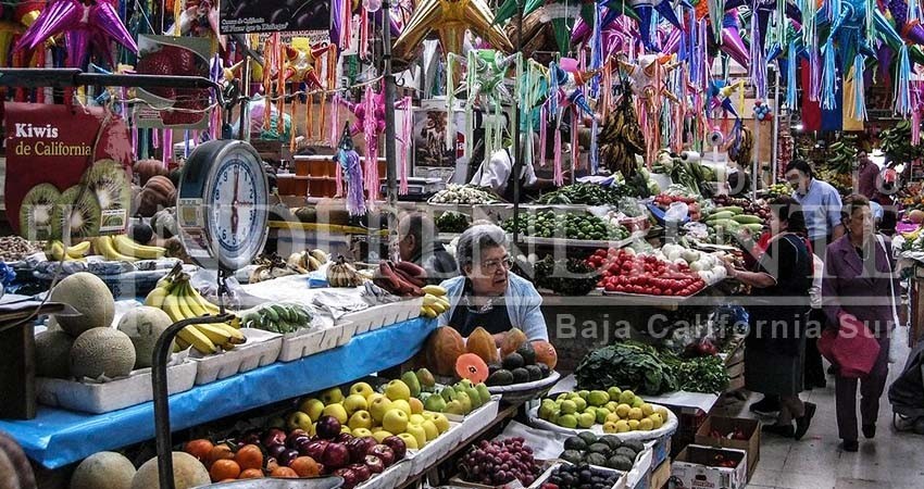 México no crece porque el gobierno “le mete el pie” a la economía: Saldaña México no crece porque el gobierno “le mete el pie” a la economía: Saldaña