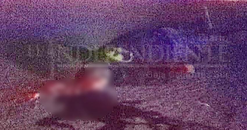 Un camión le aplastó la cabeza en Camino Real