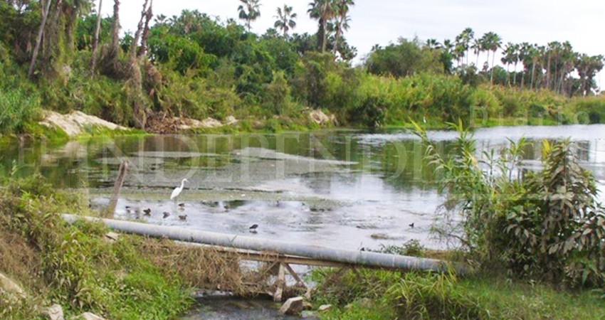 Provoca daños al Estero planta de tratamiento de Fonatur; opera al doble de su capacidad