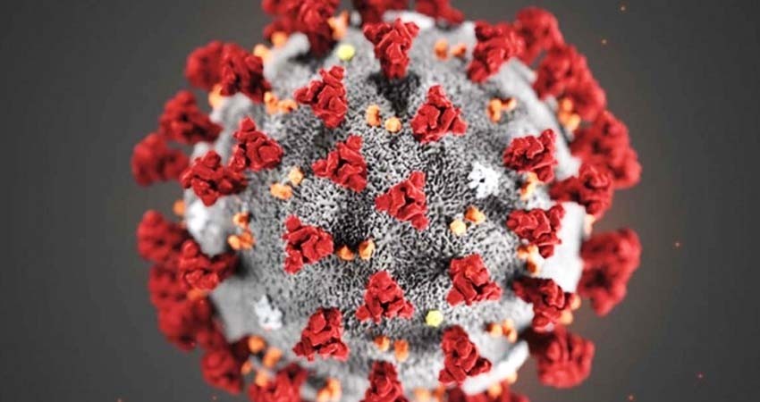 ¿El coronavirus ya es una pandemia? Aquí te explicamos ¿El coronavirus ya es una pandemia? Aquí te explicamos
