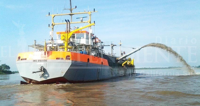 Aprobó Semarnat dragado en El Manglito; afectaría tiburón ballena: CAS