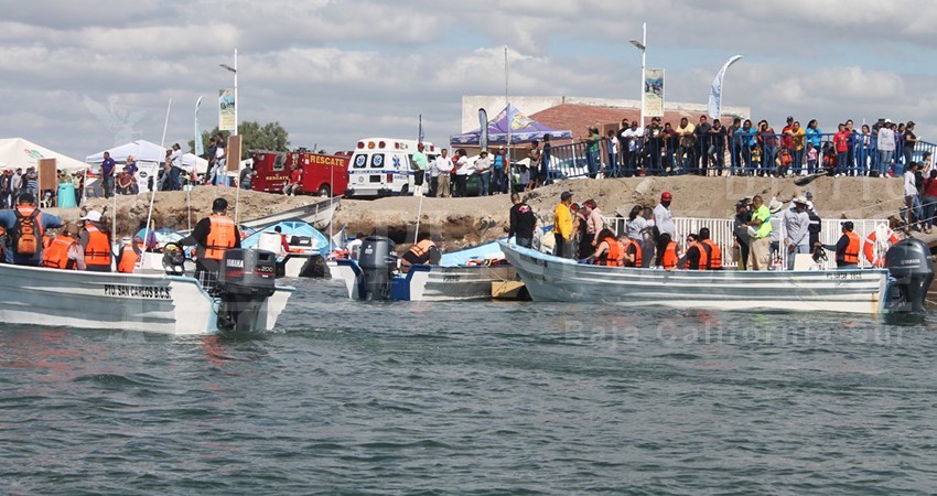 Apertura de nuevos puntos de avistamiento de ballenas ha afectado a destinos de Comondú