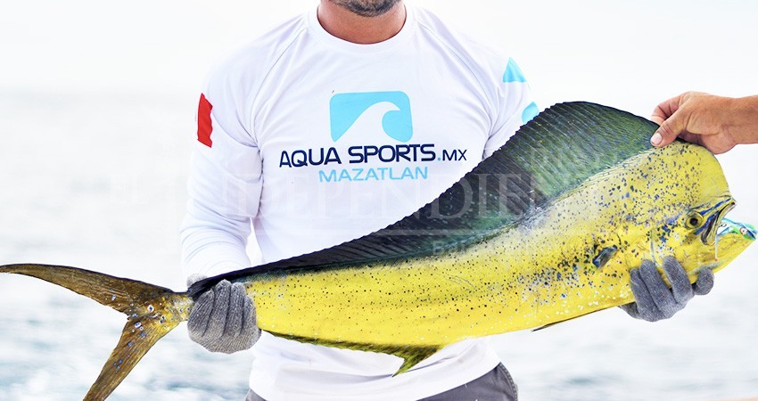 NOM 029, el mortal antecedente para la preservación del Dorado en BCS NOM 029, el mortal antecedente para la preservación del Dorado en BCS