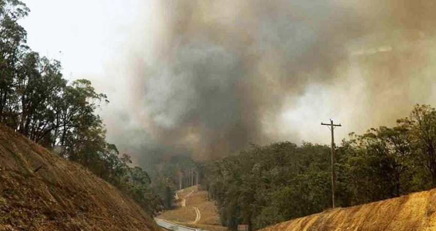 ¡Por fin! Incendios en Australia han sido controlados ¡Por fin! Incendios en Australia han sido controlados