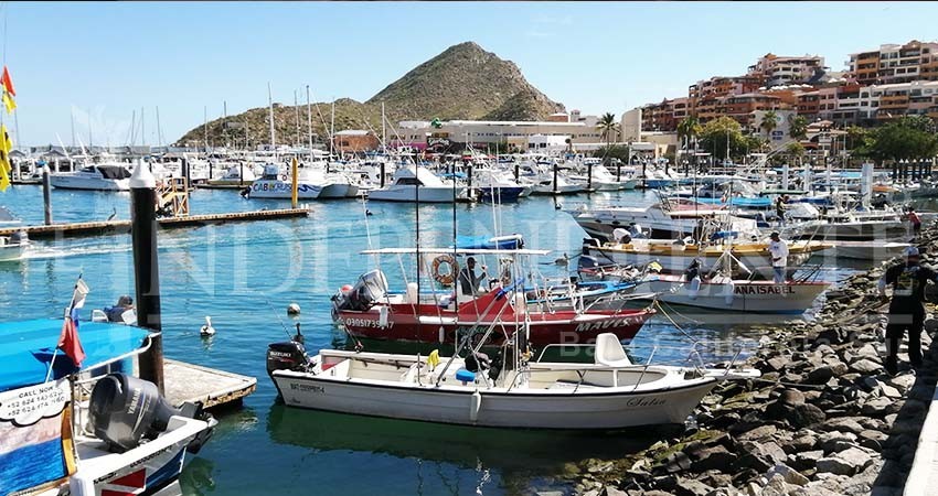 Solicita Gobierno de BCS información a Diputada de Colima sobre foro para discutir liberación del Dorado 