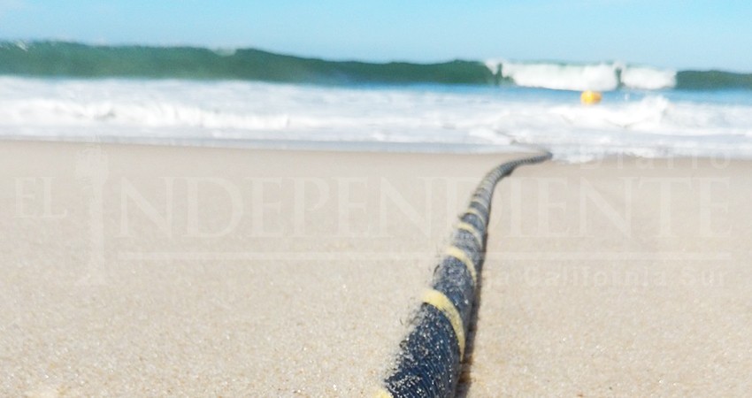 Gobierno Federal debe retomar proyecto de cable submarino para electricidad y datos: Setues BCS