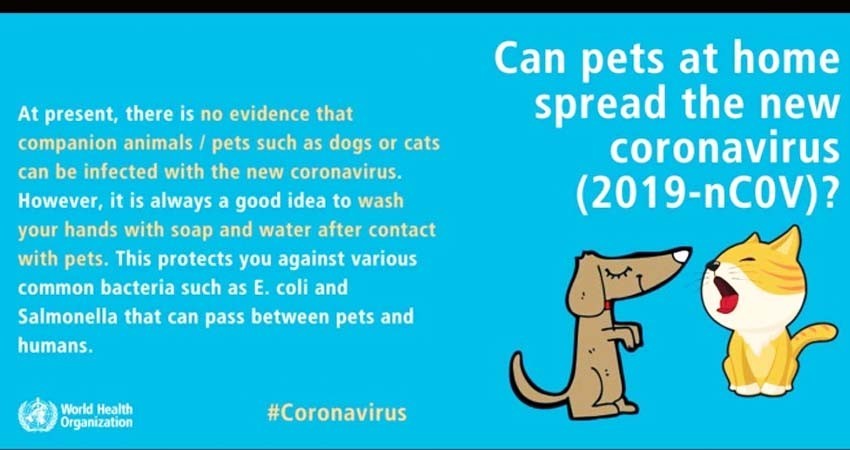 ¿Puede contagiarse mi mascota de coronavirus? ¿Puede contagiarse mi mascota de coronavirus?