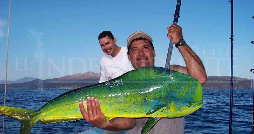 Usaremos foro para expresar rechazo a liberación del Dorado: Esteban Ojeda